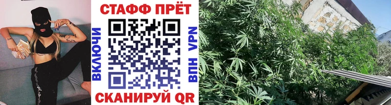 Виды наркотиков купить Бавлы Бошки Шишки  Псилоцибиновые грибы  ГАШ  MEGA ТОР  МЕФ  Cocaine  АМФ  Кодеин 