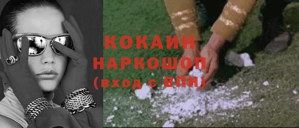 ПСИЛОЦИБИНОВЫЕ ГРИБЫ Арсеньев