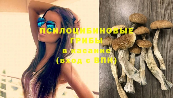 ПСИЛОЦИБИНОВЫЕ ГРИБЫ Арсеньев