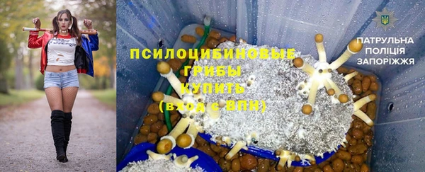 ПСИЛОЦИБИНОВЫЕ ГРИБЫ Арсеньев