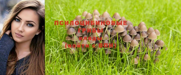 дмт Армянск