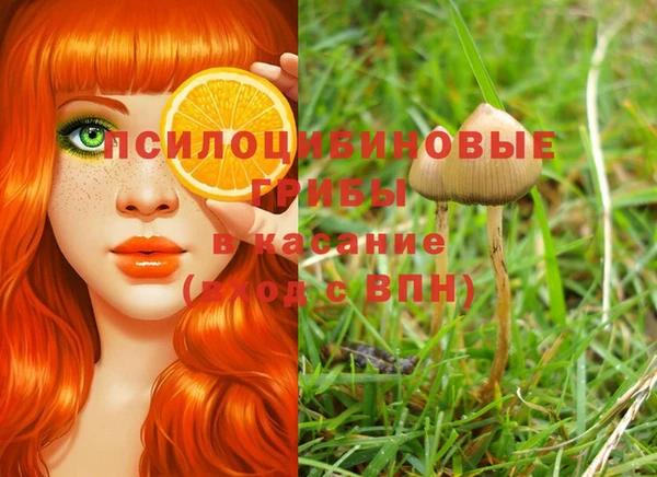 не бодяженный Аркадак