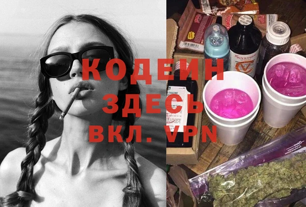 ПСИЛОЦИБИНОВЫЕ ГРИБЫ Арсеньев
