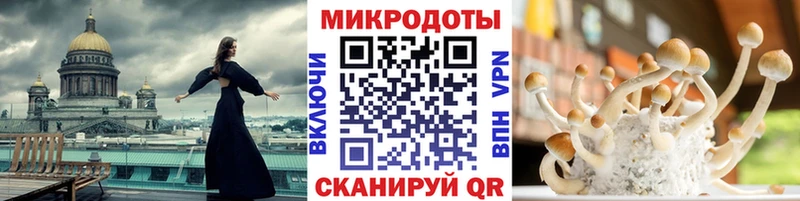 купить наркотики цена  Бавлы  Псилоцибиновые грибы ЛСД 